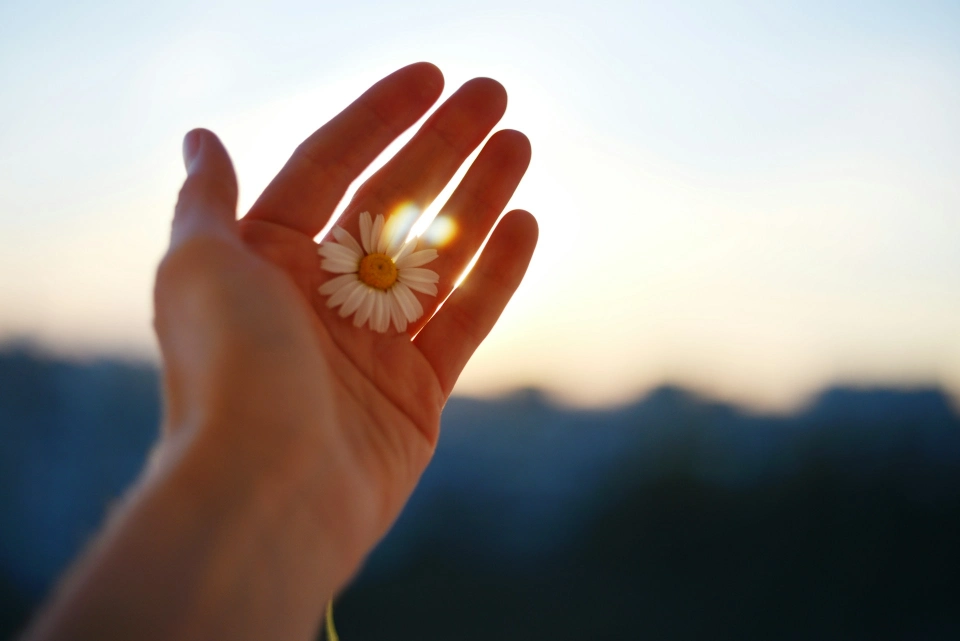 liana-s-csEj7kuWn3o-unsplash
